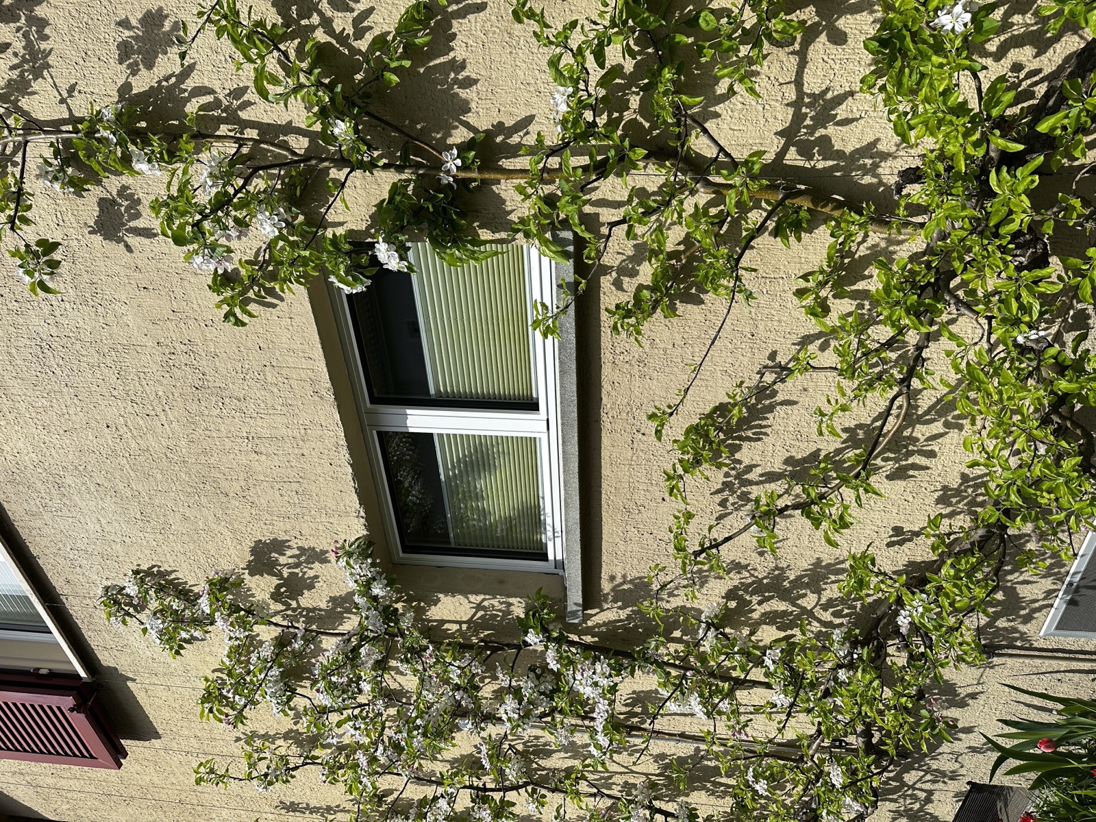Küchenfenster ohne Sonnenschutz, Aussenansicht – vorher