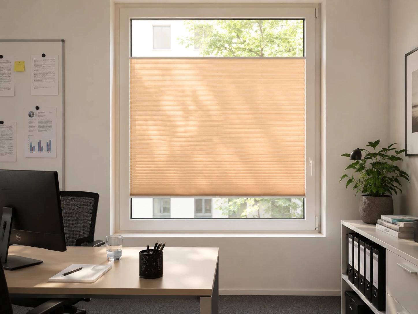 Plissee canvas am Fenster montiert
