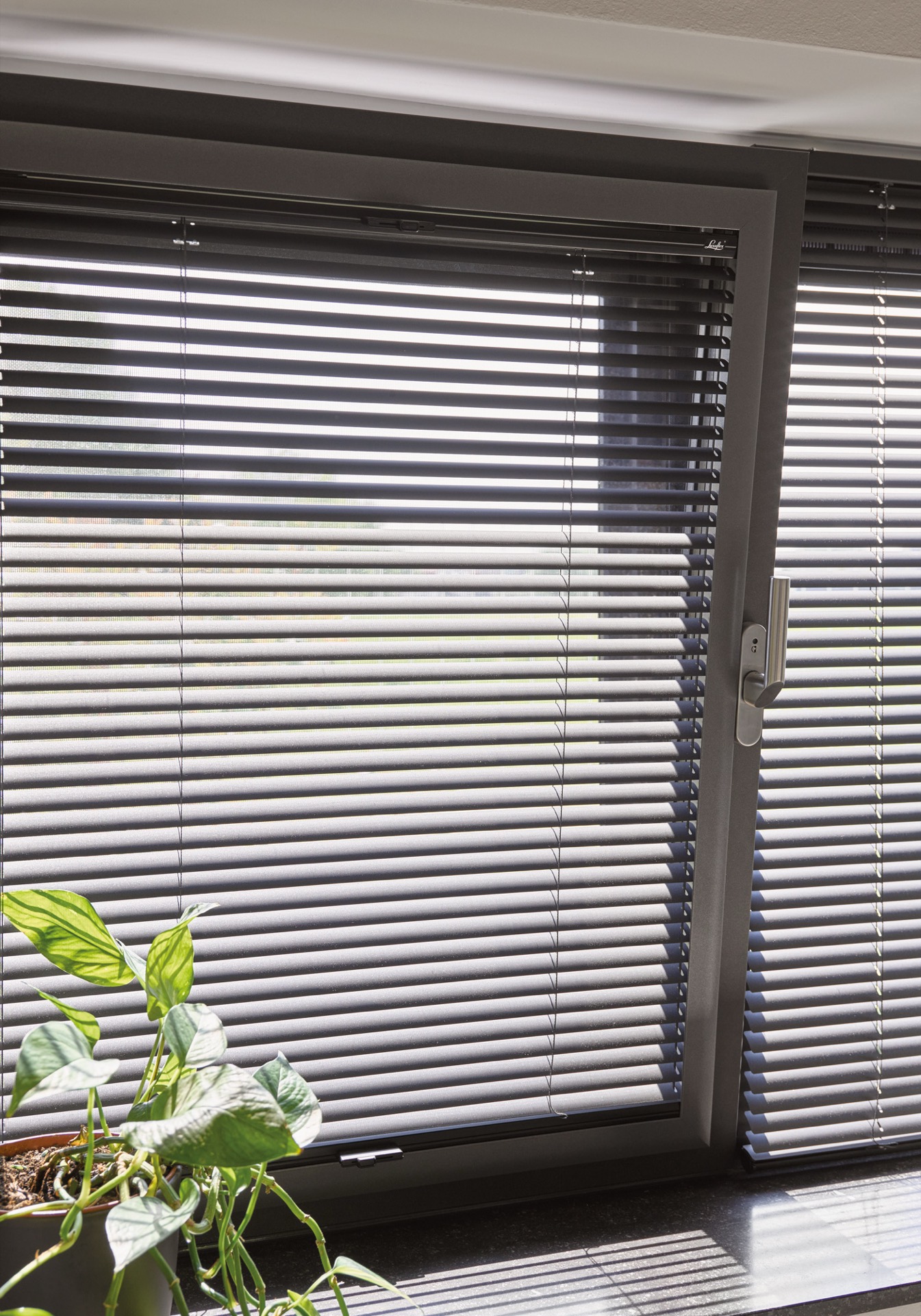 Robuste Aluminium-Jalousie im Büro