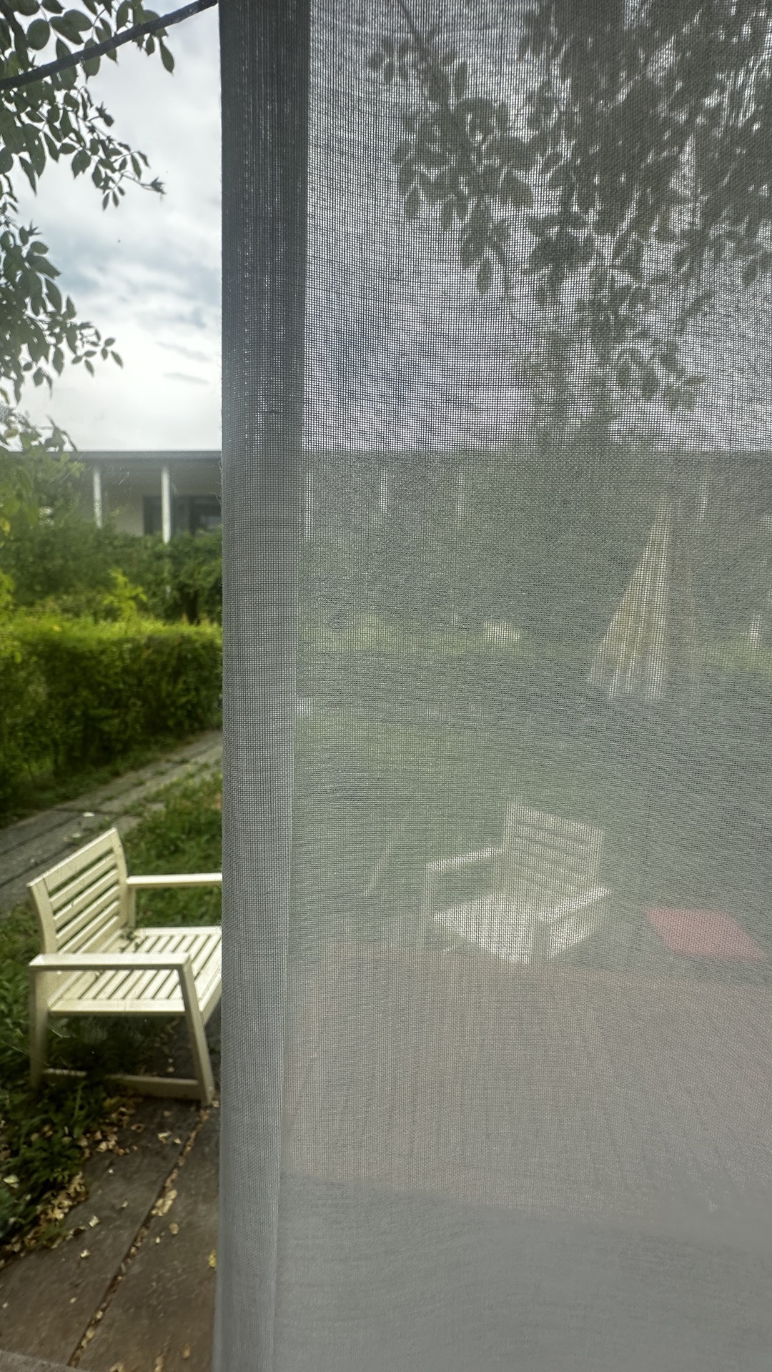 Tagesvorhang Concerto in Perlweiss — Am Fenster