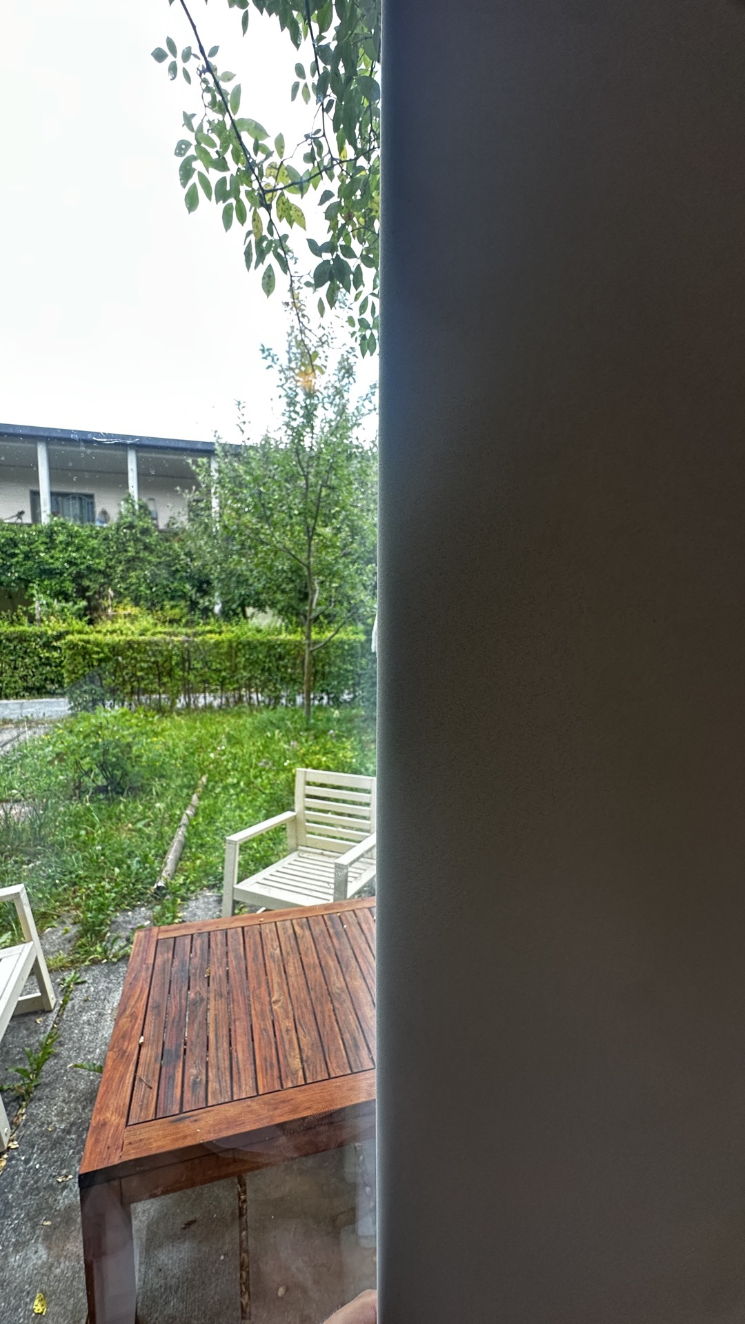 Verdunkelungsvorhang Dark Shield in Creme — Am Fenster