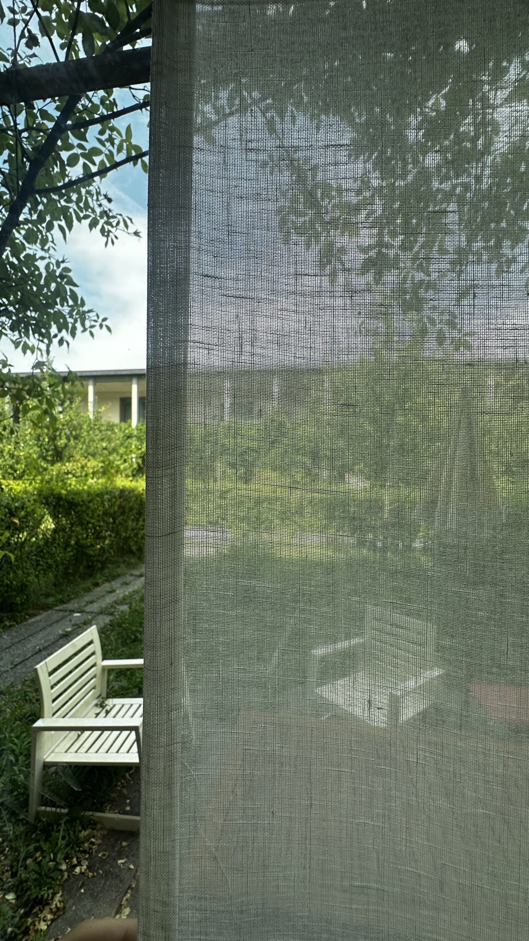 Tagesvorhang Linessa FR in Ecru — Am Fenster