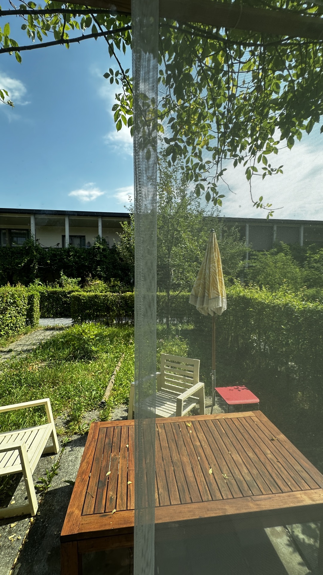 Tagesvorhang Marquisette in Ivoire — Am Fenster